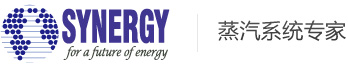 SYNERGY 爱游戏平台网页版_爱游戏（中国）
系统专家